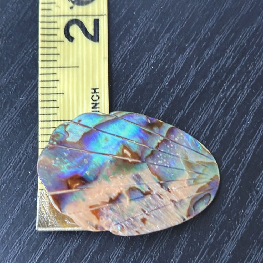 Vintage Abalone Shell Clip On Earrings - Picture 7 of 8
